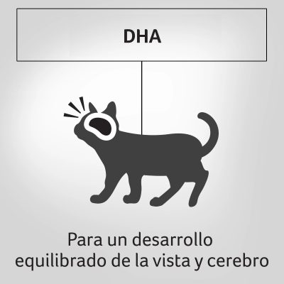 PROPLAN HÚMEDO KITTEN POLLO X 85 GR