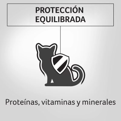 PROPLAN HÚMEDO KITTEN POLLO X 85 GR