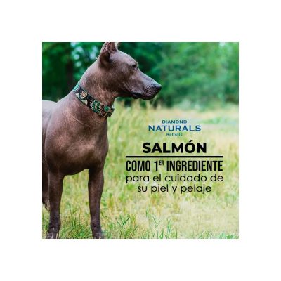 Alimento Para Perro Diamond Naturals Skin And Coat
