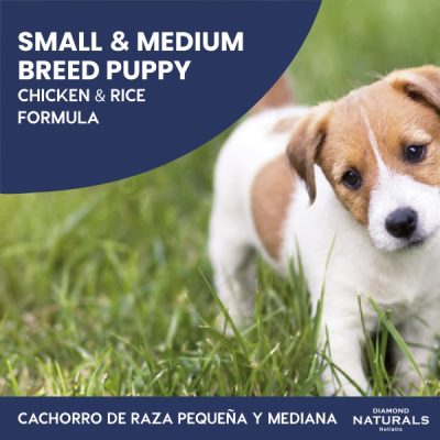 DIAMOND CACHORROS RAZAS PEQUEÑAS Y MEDIANAS_