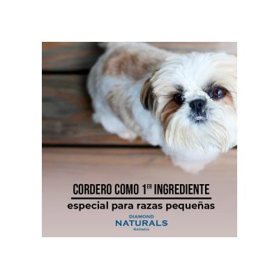 DIAMOND RAZAS PEQUEÑAS PERROS ADULTOS