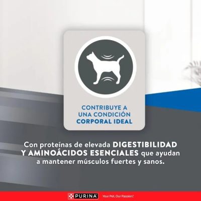 EXCELLENT GATO ADULTO URINARY X 3 KG_5