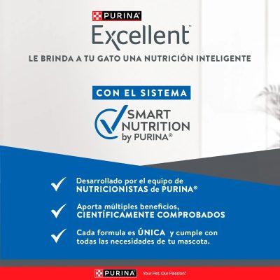 EXCELLENT GATOS ESTERILIZADOS BENEFICIOS_