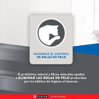 EXCELLENT GATOS ESTERILIZADOS BENEFICIOS_2