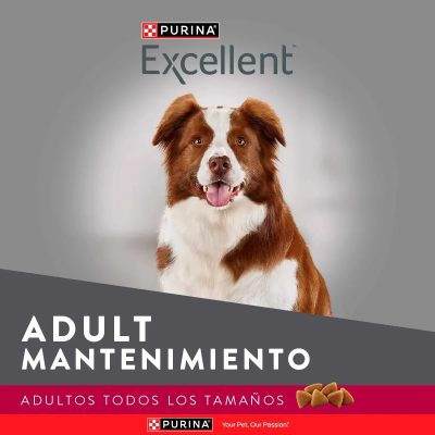 EXCELLENT MANTENIMIENTO PERROS ADULTOS