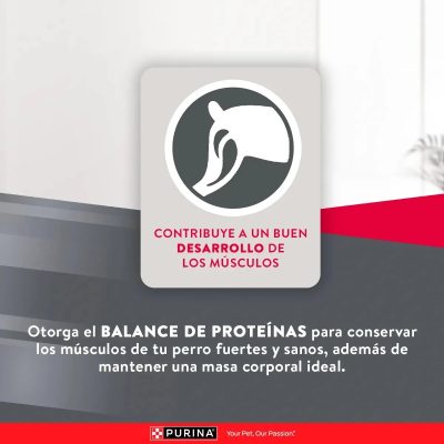 EXCELLENT MANTENIMIENTO PERROS ADULTOS BENEFICIOS