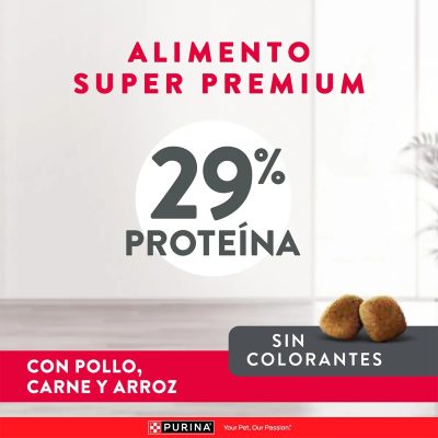 EXCELLENT PUPPY RAZAS PEQUEÑAS CACHORROS caracteristicas