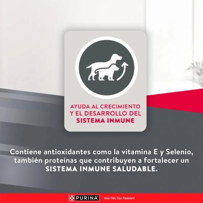 EXCELLENT PUPPY RAZAS PEQUEÑAS CACHORROS beneficios