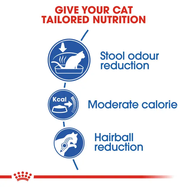 Royal Canin Gatos Adultos Indoor - Imagen 2