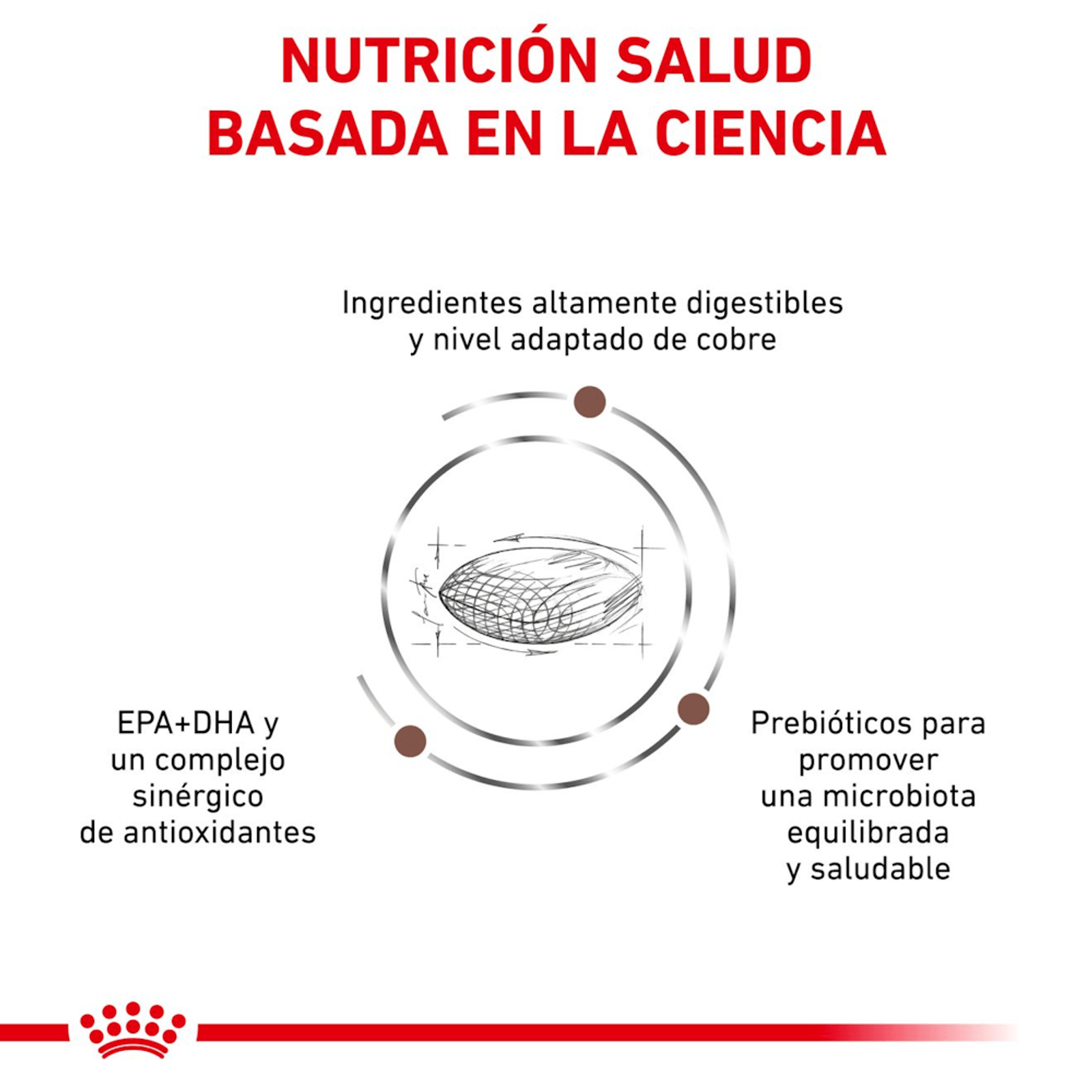 ROYAL CANIN HEPATIC PERROS X 2 KG - Imagen 4