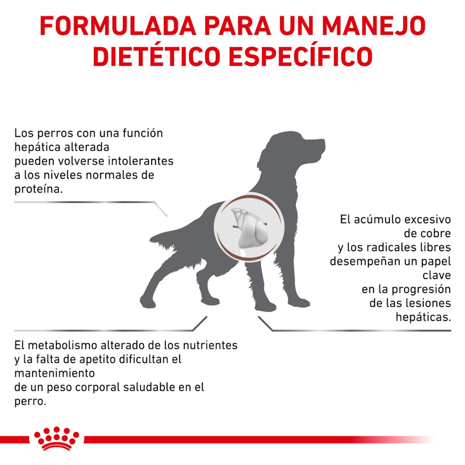 ROYAL CANIN HEPATIC PERROS X 2 KG - Imagen 6