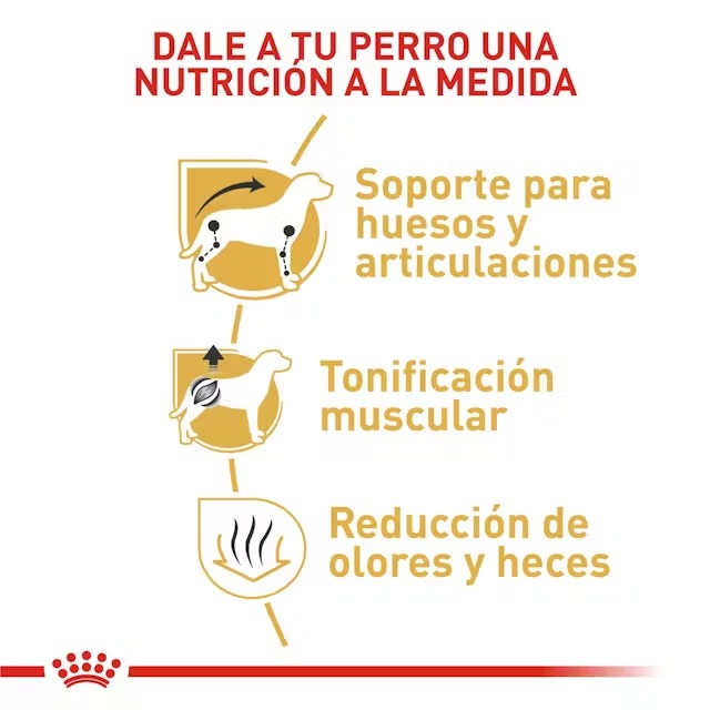ROYAL CANIN SALCHICHA ADULTO X 1.5 KG - Imagen 2