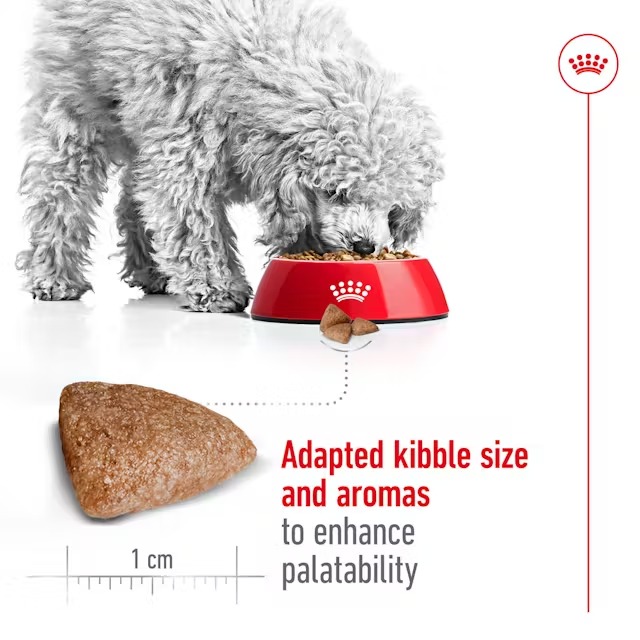 Royal Canin Perros Mini Interiores X 1.5 KG - Imagen 5
