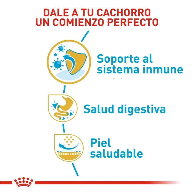 ROYAL CANIN BULLDOG FRANCES CACHORRO - Imagen 5