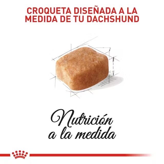 ROYAL CANIN SALCHICHA ADULTO X 1.5 KG - Imagen 3