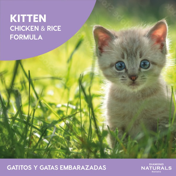 Diamon naturals gatitos kitten - Imagen 3