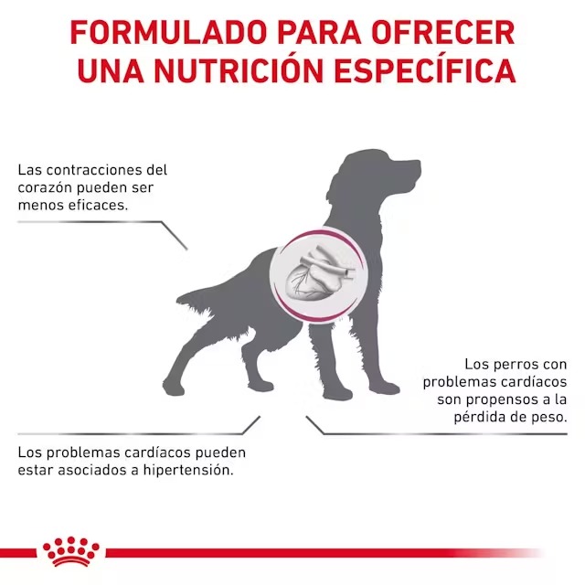 ROYAL CANIN CARDIACO PERROS X 2 KG - Imagen 3