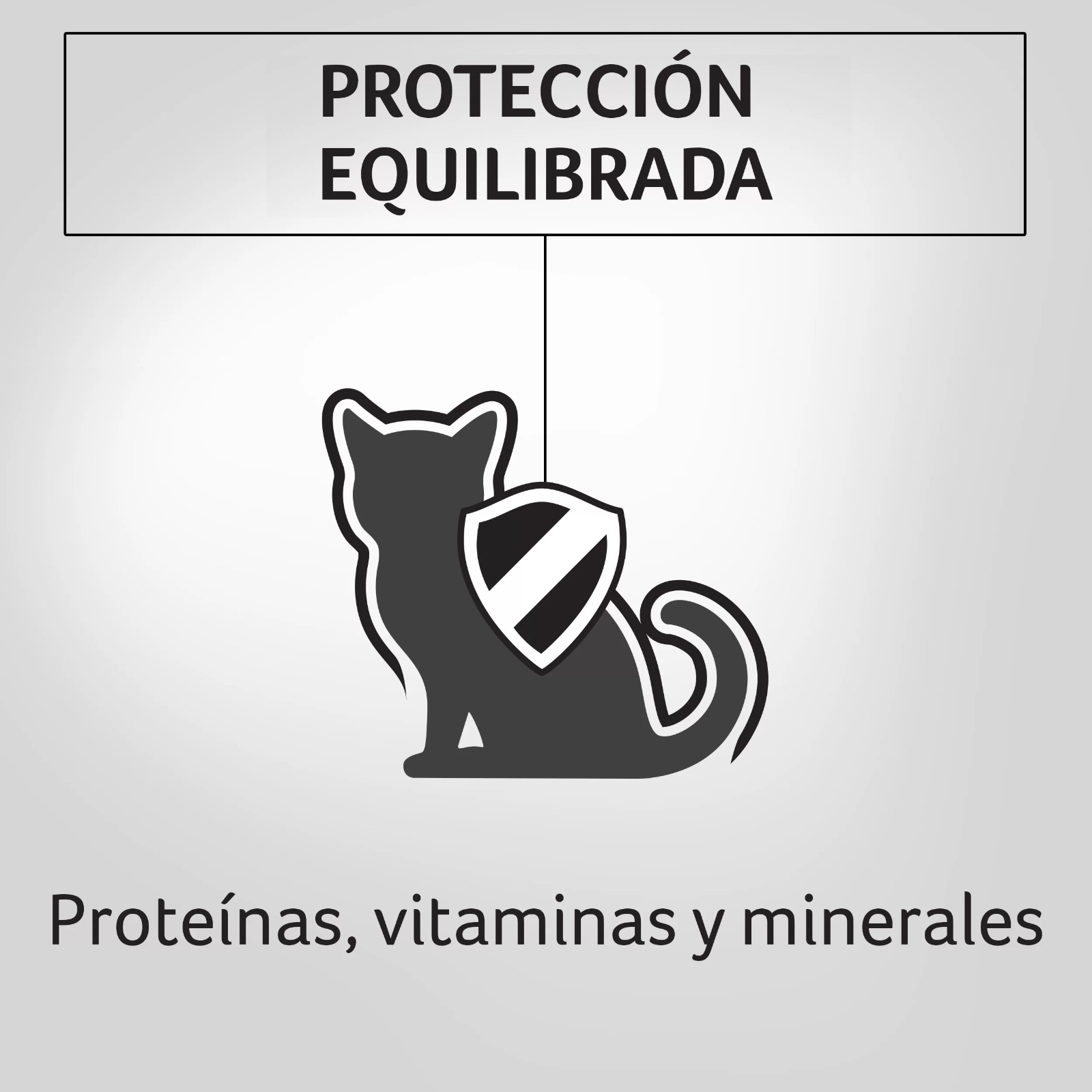 PROPLAN HÚMEDO KITTEN POLLO X 85 GR - Imagen 3