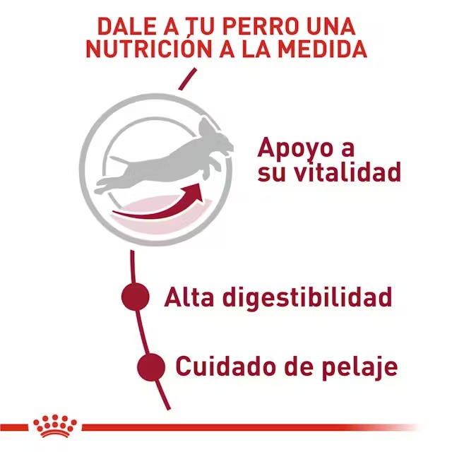 Royal Canin Perros Adultos Medianos 7+ X 4 KG - Imagen 2