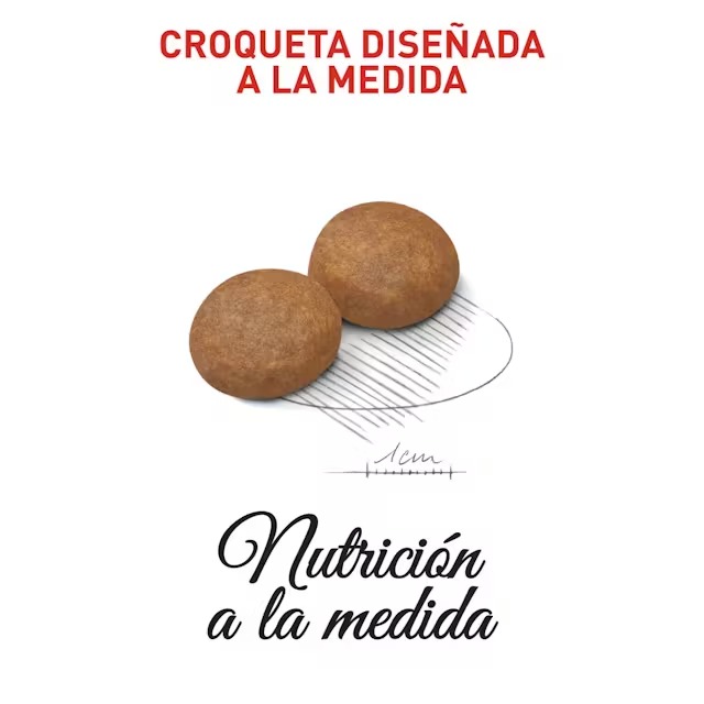 Royal Canin Perros Adultos Medianos 7+ X 4 KG - Imagen 5