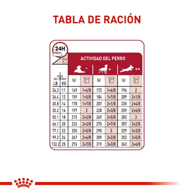 Royal Canin Perros Adultos Medianos 7+ X 4 KG - Imagen 6