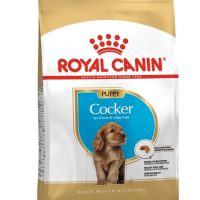 ROYAL CANIN COCKER CACHORRO X 3 KG