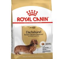 ROYAL CANIN SALCHICHA ADULTO X 1.5 KG