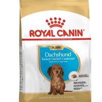 ROYAL CANIN SALCHICHA CACHORRO X 2.5 LB