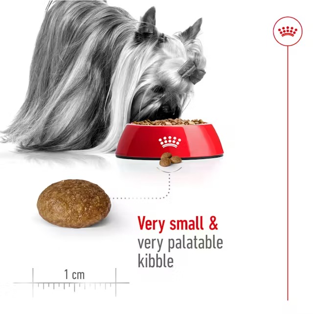 ROYAL CANIN ADULTOS XS 8+ X 1.5 KG - Imagen 6
