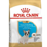 ROYAL CANIN BULLDOG FRANCES CACHORRO