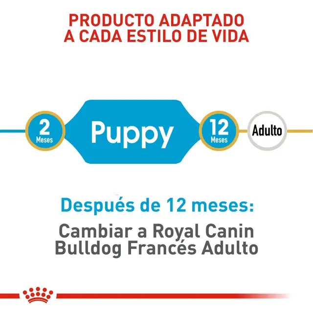 ROYAL CANIN BULLDOG FRANCES CACHORRO - Imagen 3