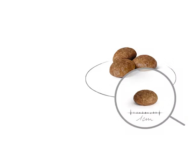 ROYAL CANIN ADULTOS XS 8+ X 1.5 KG - Imagen 7