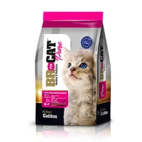 BR FOR CAT PURE GATITOS