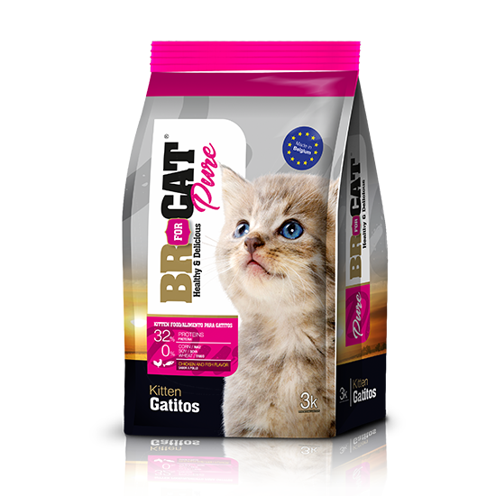 BR FOR CAT PURE GATITOS