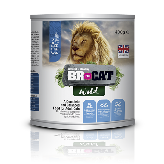LATA ALIMENTO HÚMEDO BR FOR CAT WILD