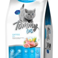 TOMMY CATS GATITOS
